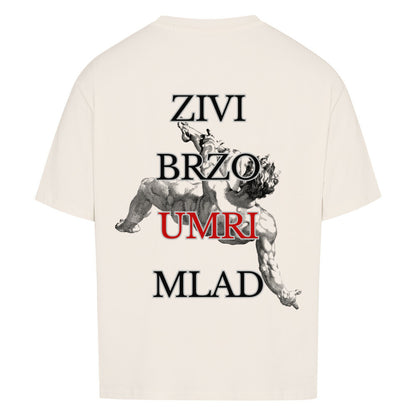 e05e70c2-6c09-41db-be28-6e77acdbbf97